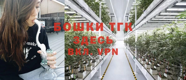 ПСИЛОЦИБИНОВЫЕ ГРИБЫ Краснотурьинск