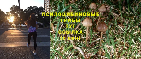 синтетический гашиш Красноперекопск