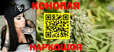 тгк Обь