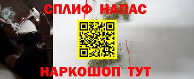 шишки Будённовск