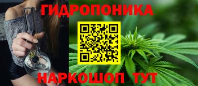 тгк Обь