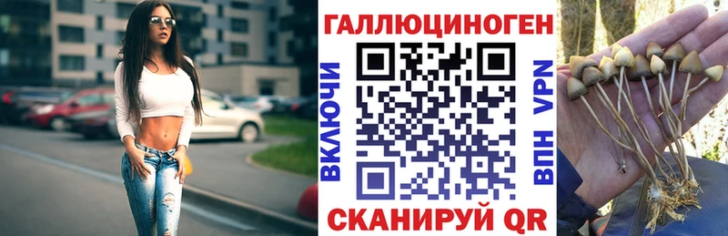 OMG зеркало  Тутаев  Галлюциногенные грибы GOLDEN TEACHER  купить  цена 