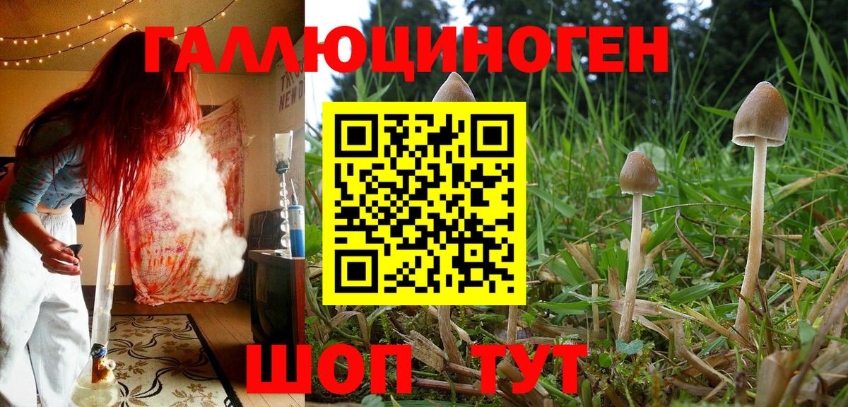 Псилоцибиновые грибы Cubensis Тутаев