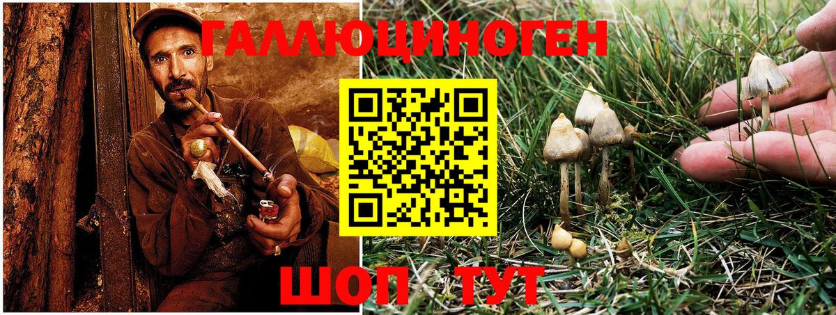 Псилоцибиновые грибы Magic Shrooms  Тутаев  Галлюциногенные грибы прущие грибы 